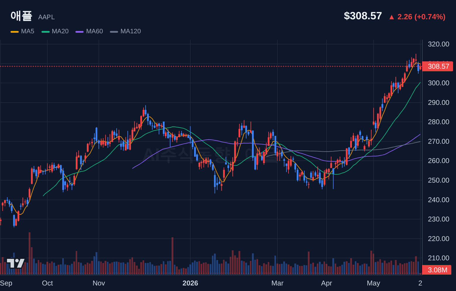 애플 (AAPL) 일봉 차트