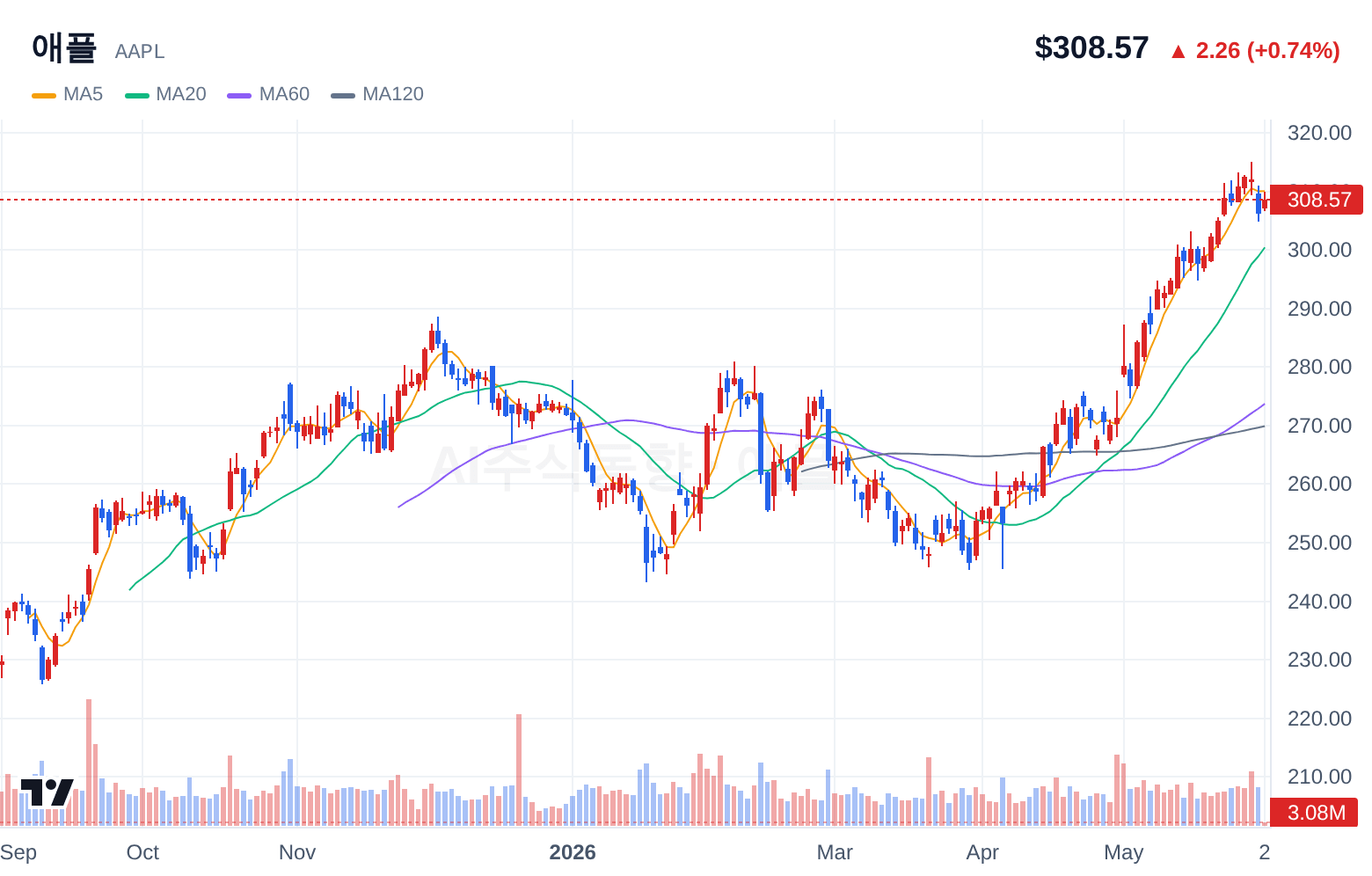 애플 (AAPL) 일봉 차트