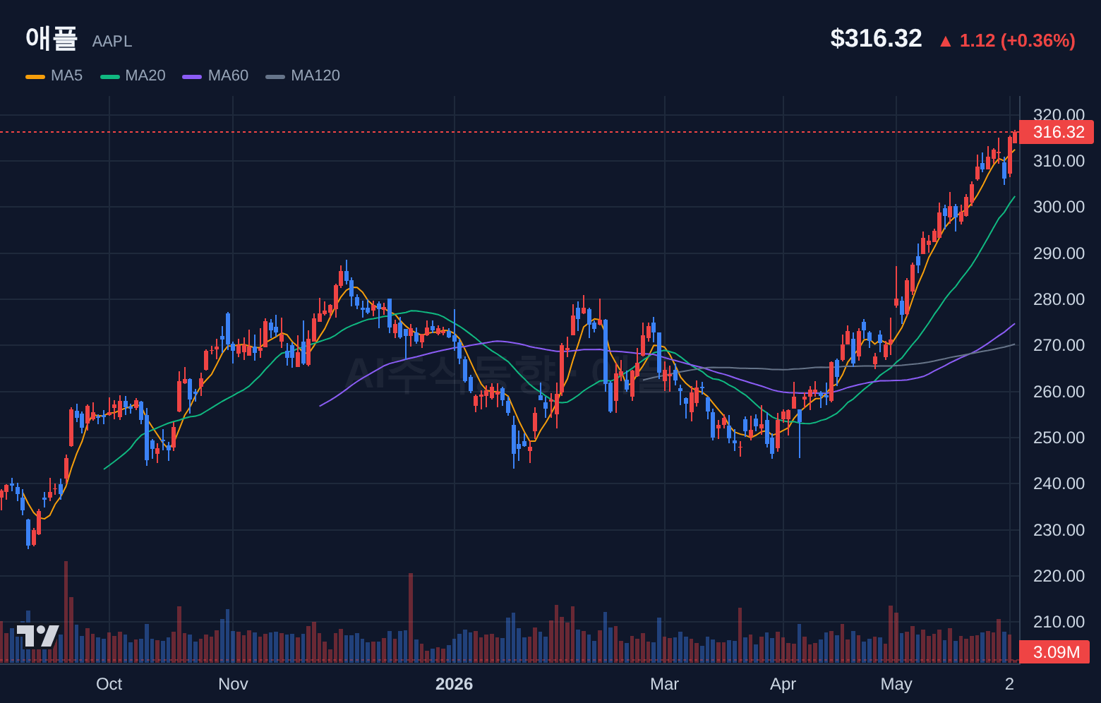 애플 (AAPL) 일봉 차트