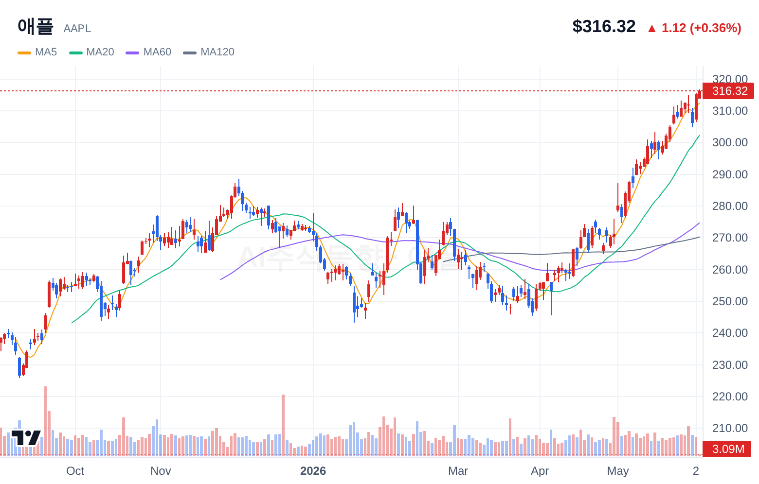 애플 (AAPL) 일봉 차트