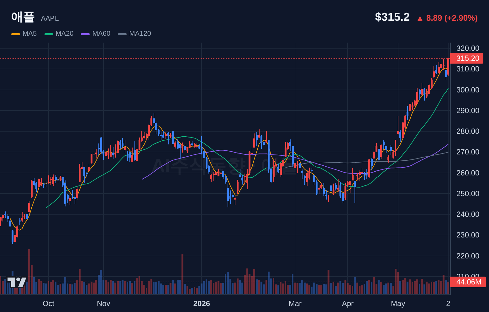 애플 (AAPL) 일봉 차트