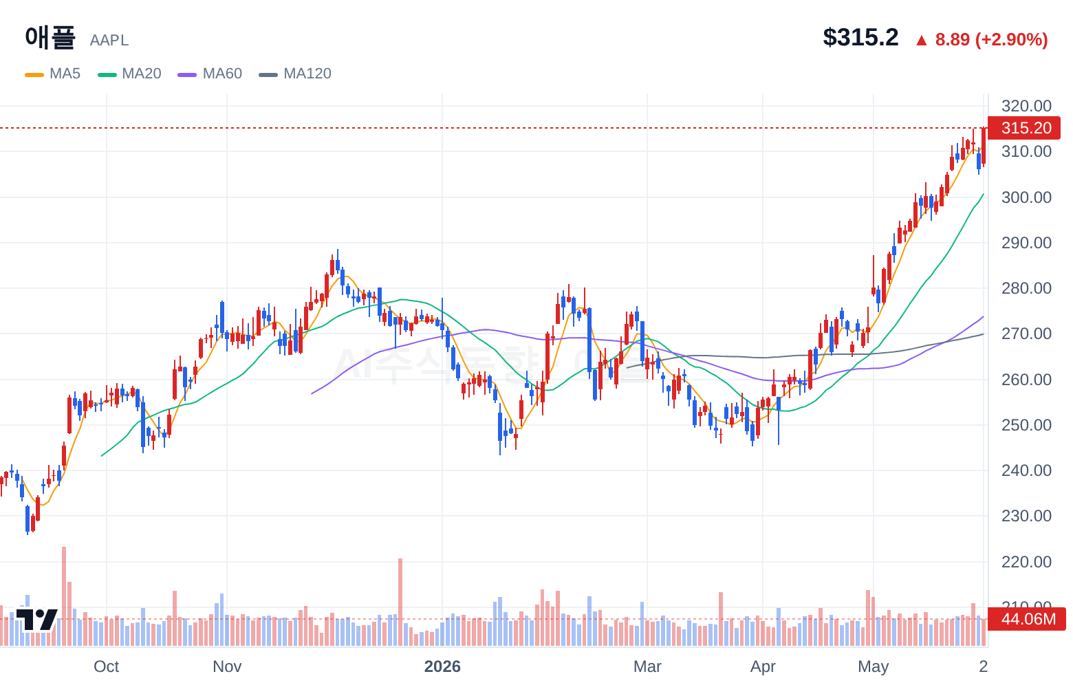 애플 (AAPL) 일봉 차트