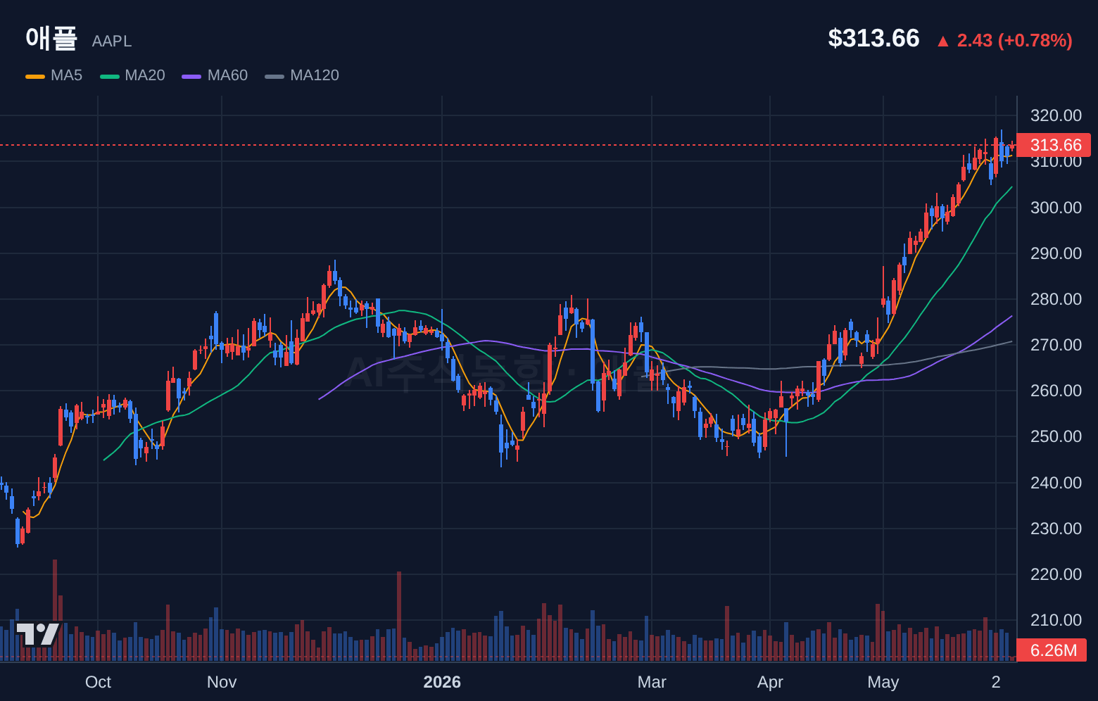 애플 (AAPL) 일봉 차트