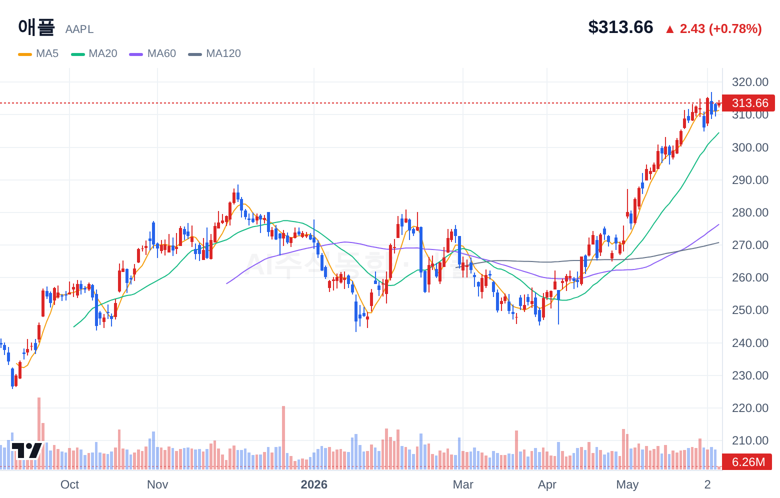 애플 (AAPL) 일봉 차트