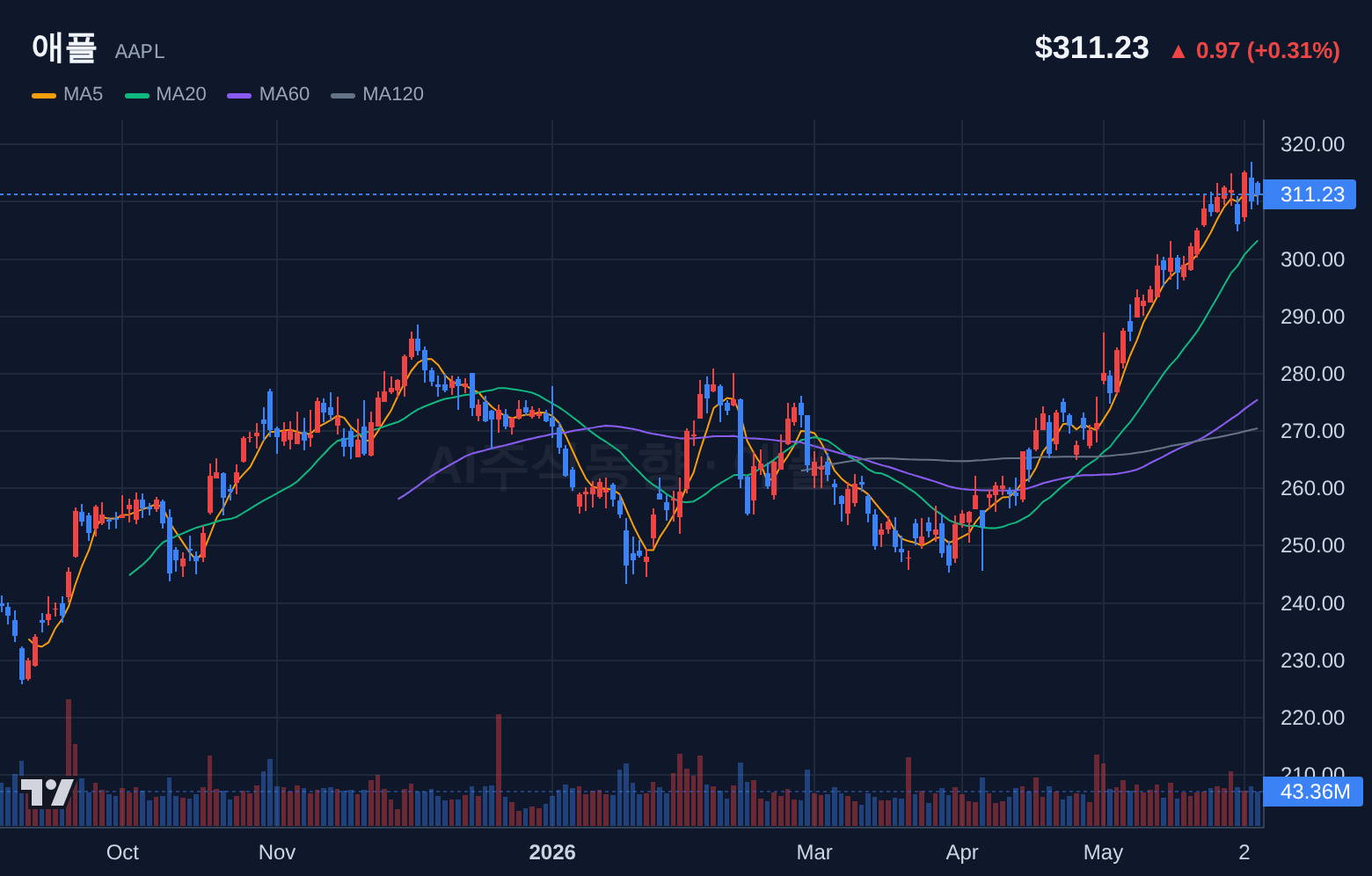 애플 (AAPL) 일봉 차트