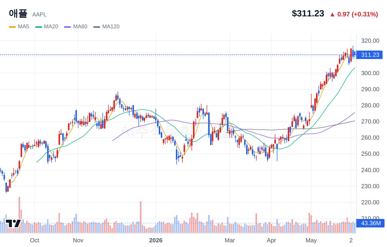 애플 (AAPL) 일봉 차트
