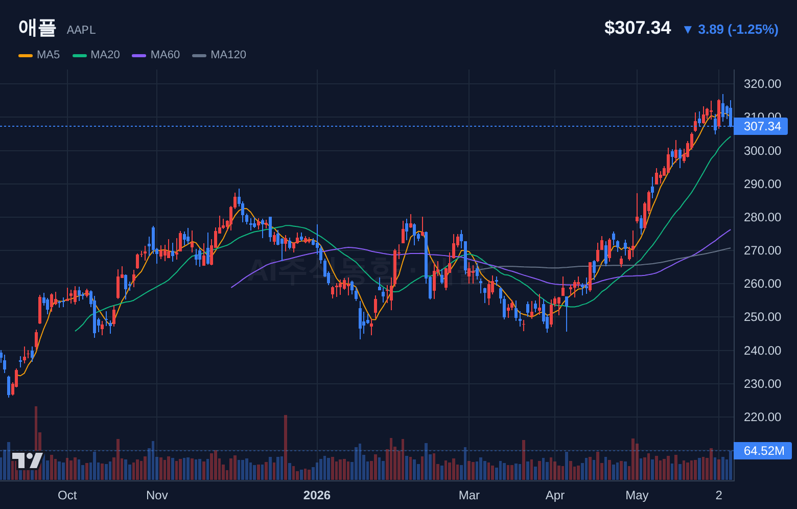 애플 (AAPL) 일봉 차트