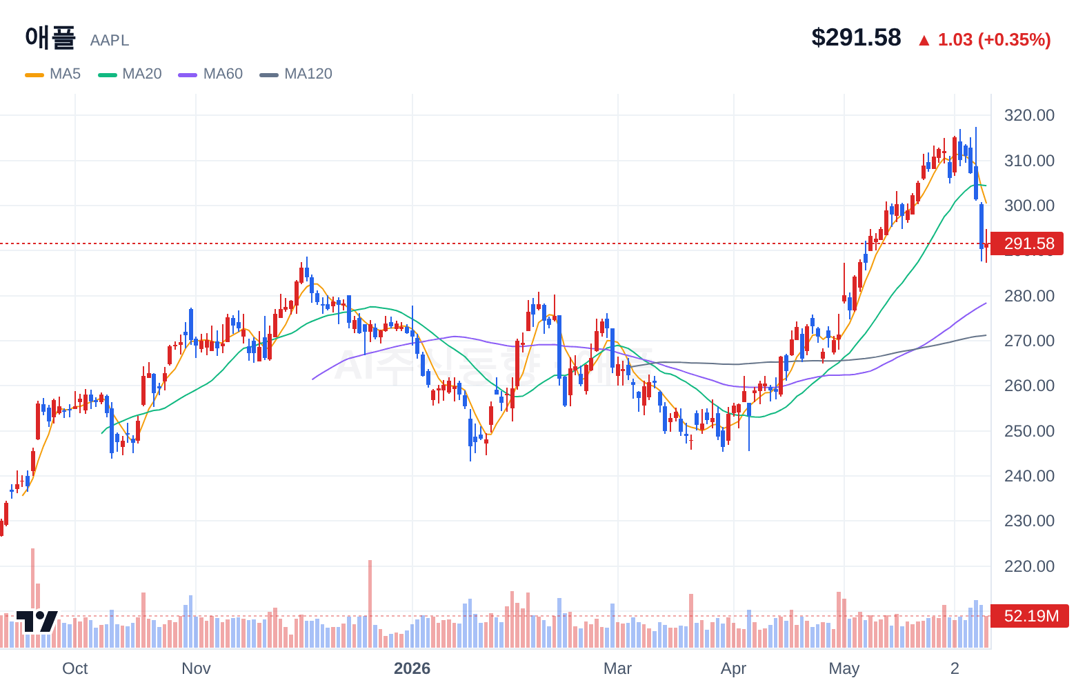 애플 (AAPL) 일봉 차트