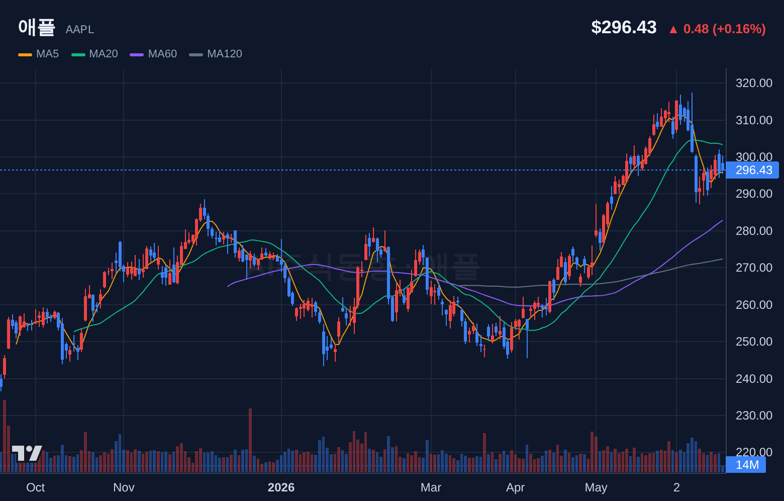 애플 (AAPL) 일봉 차트