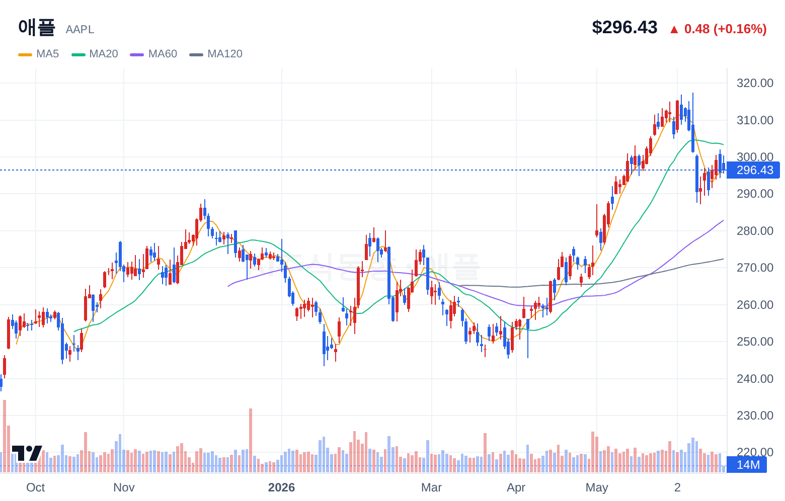 애플 (AAPL) 일봉 차트