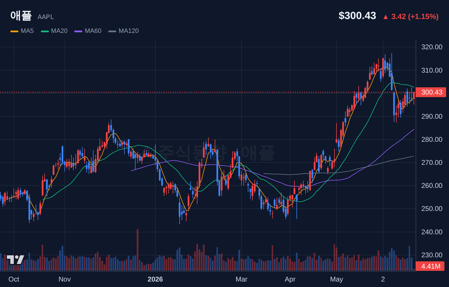 애플 (AAPL) 일봉 차트