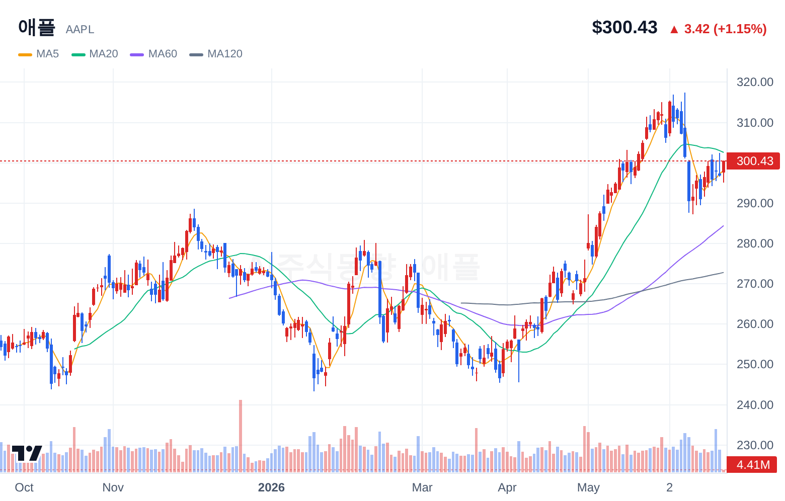 애플 (AAPL) 일봉 차트