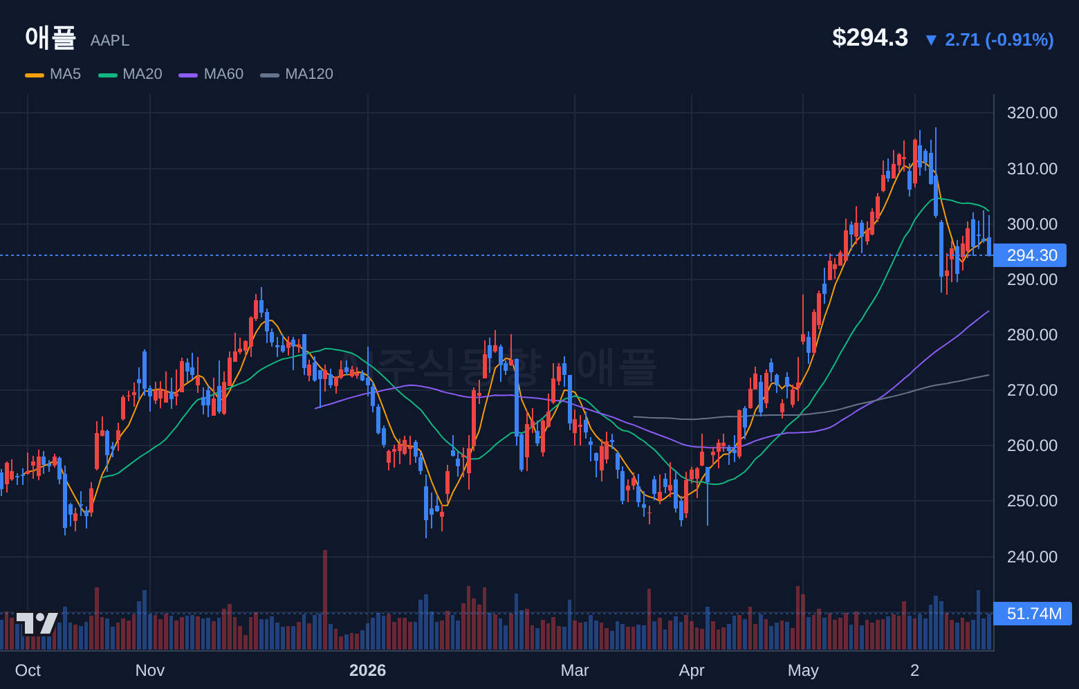 애플 (AAPL) 일봉 차트