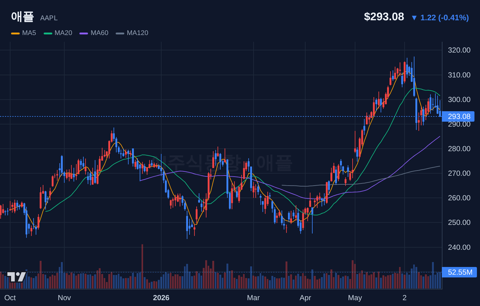 애플 (AAPL) 일봉 차트