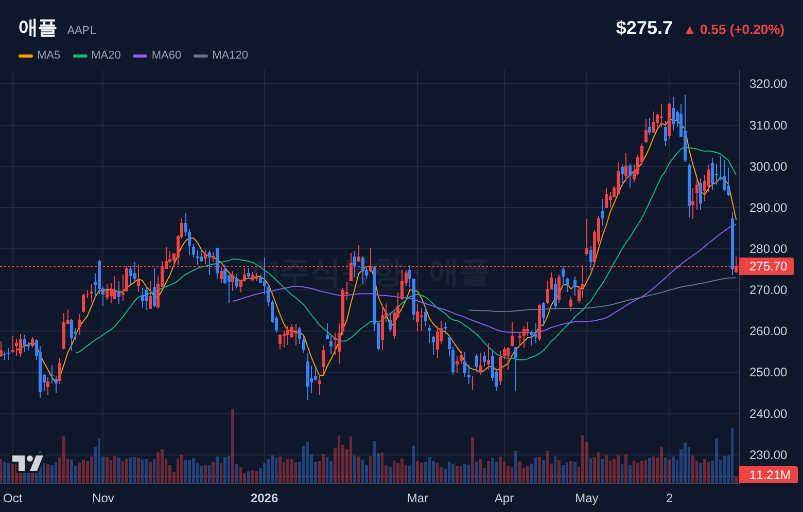 애플 (AAPL) 일봉 차트