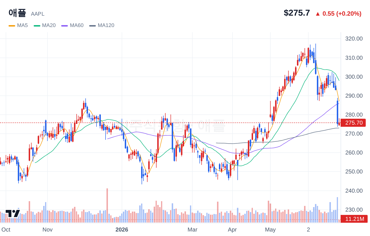 애플 (AAPL) 일봉 차트