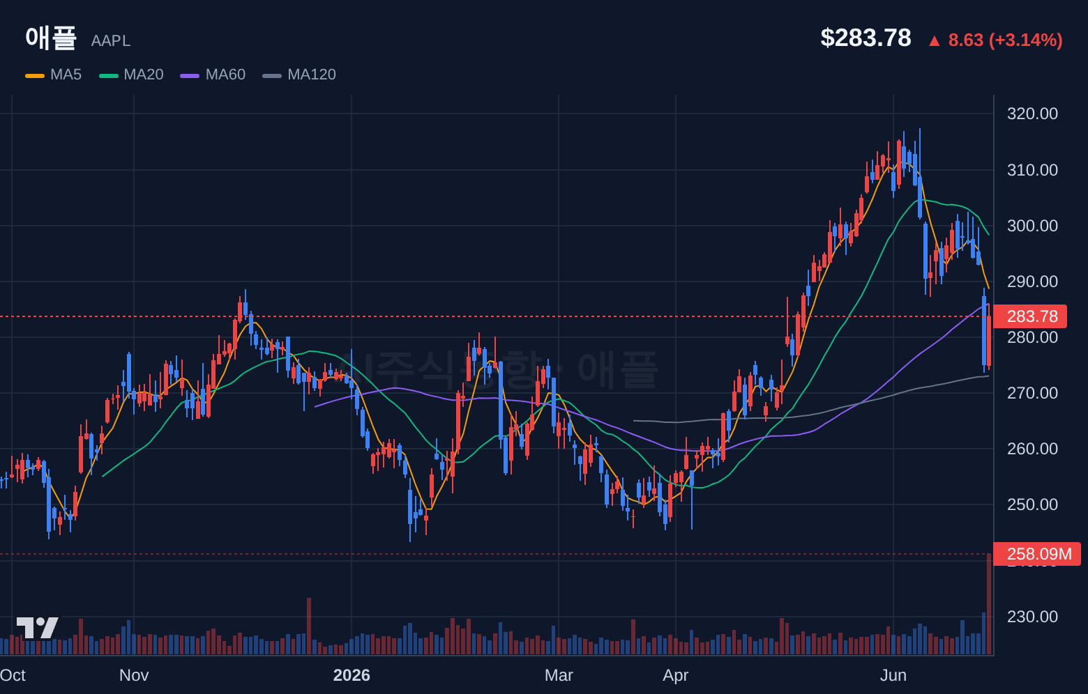 애플 (AAPL) 일봉 차트