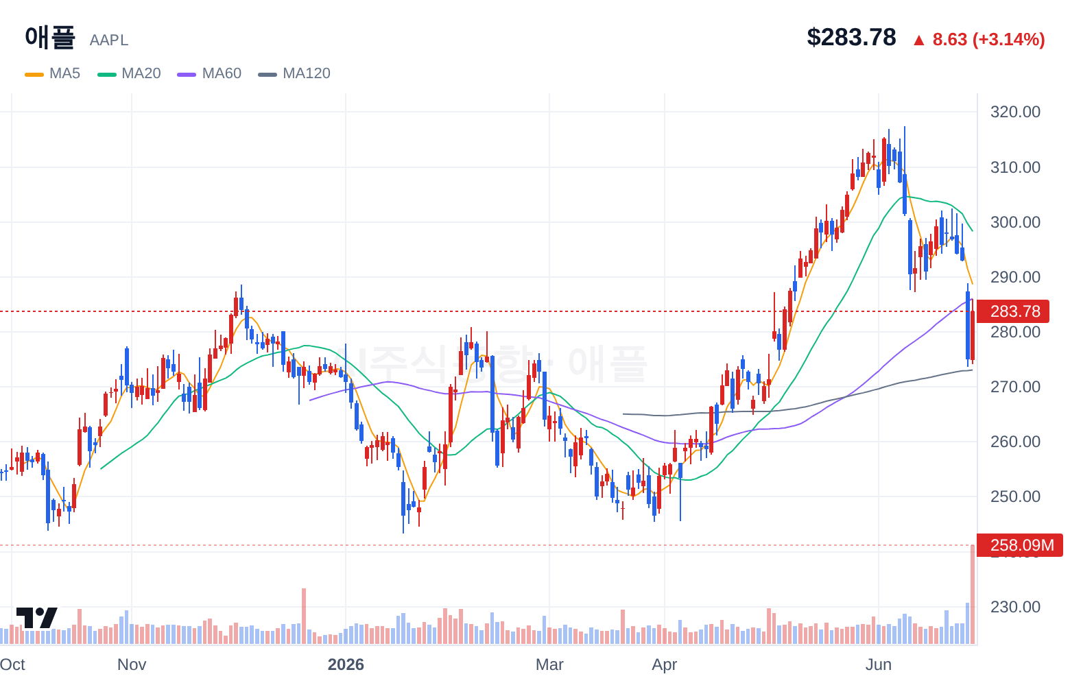 애플 (AAPL) 일봉 차트
