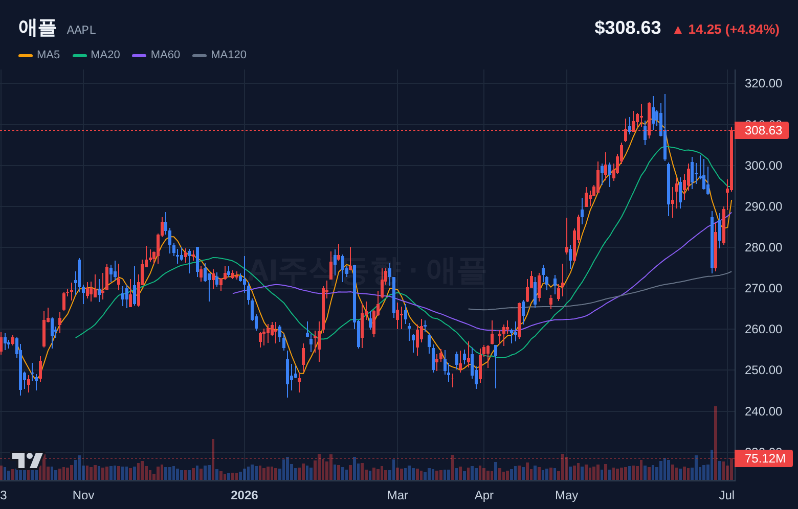 애플 (AAPL) 일봉 차트