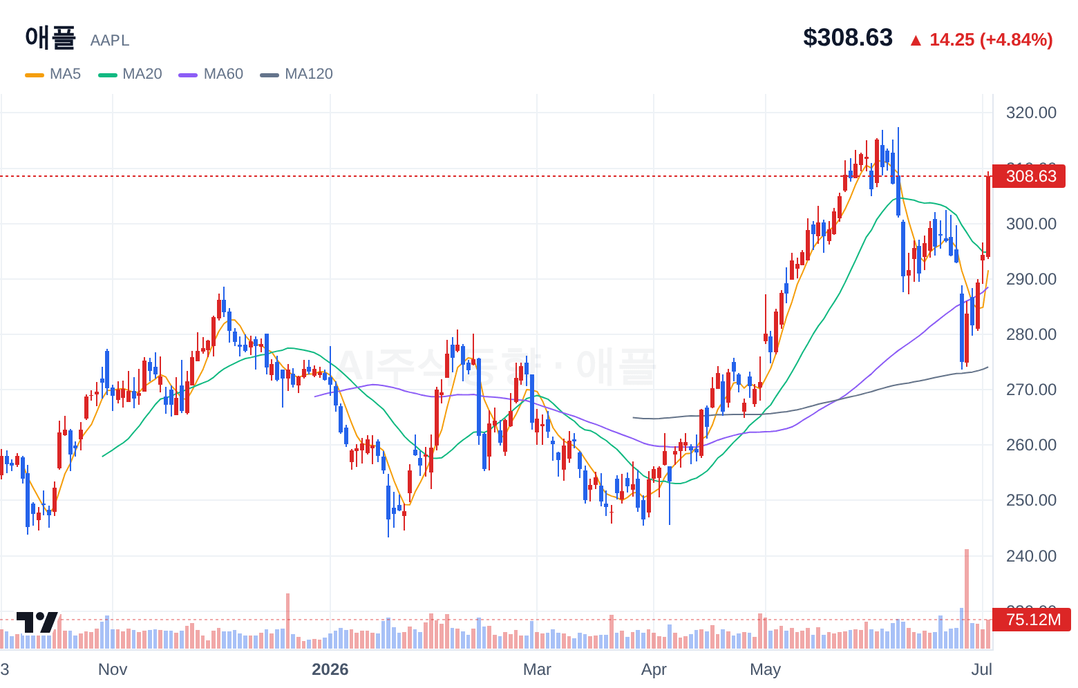 애플 (AAPL) 일봉 차트