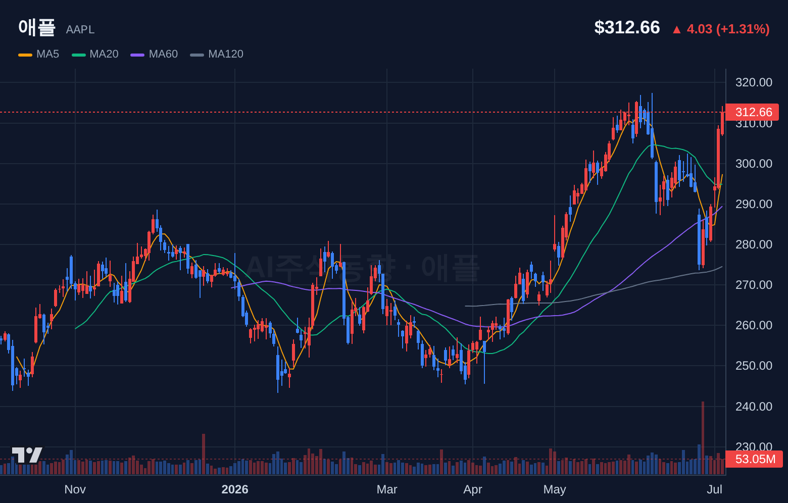 애플 (AAPL) 일봉 차트