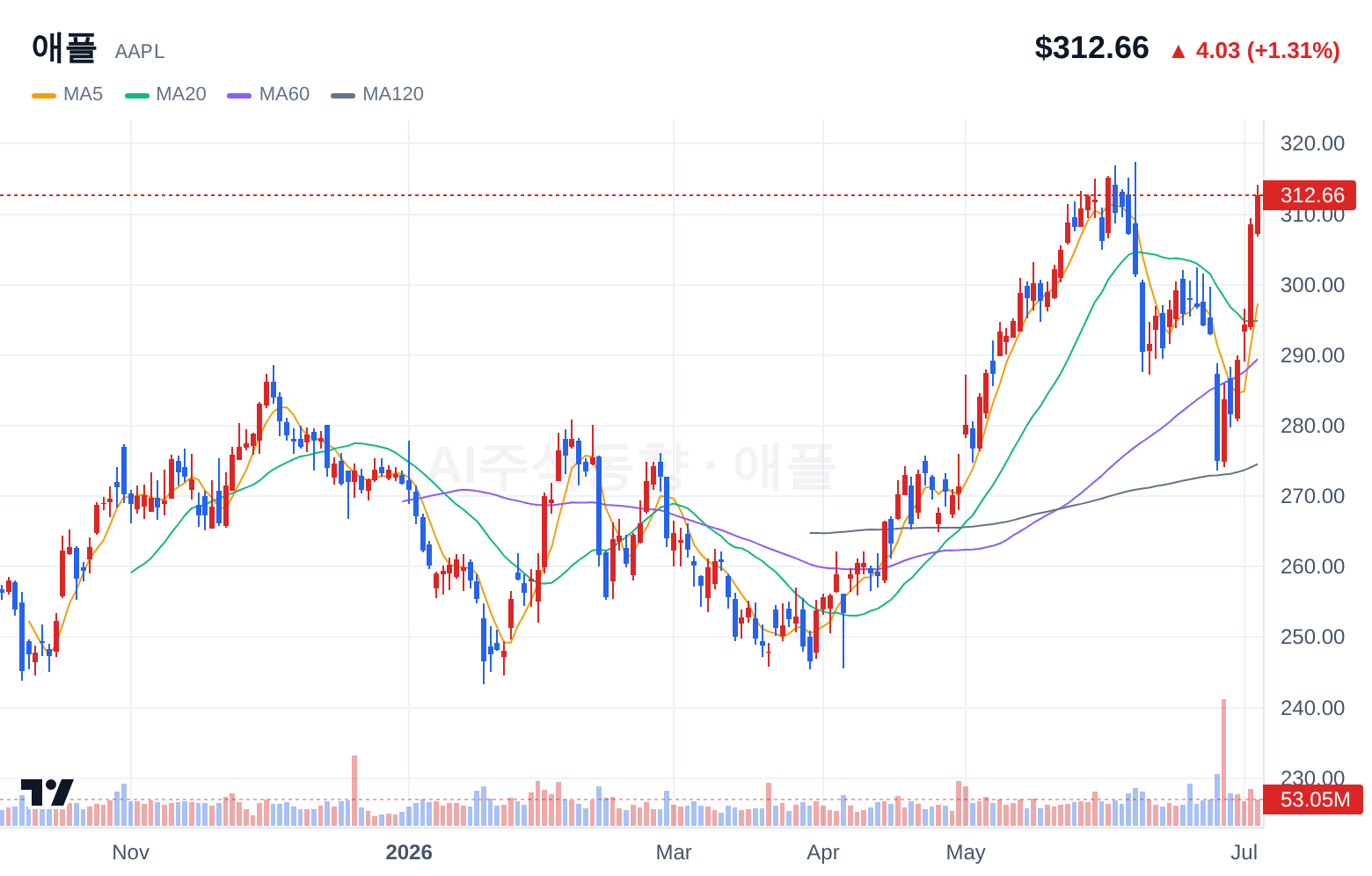 애플 (AAPL) 일봉 차트