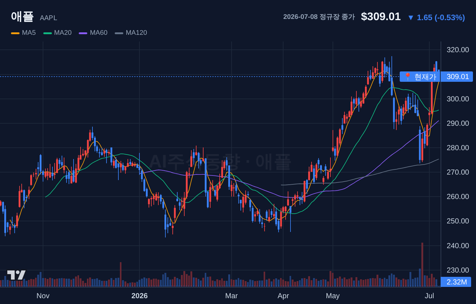 애플 (AAPL) 일봉 차트