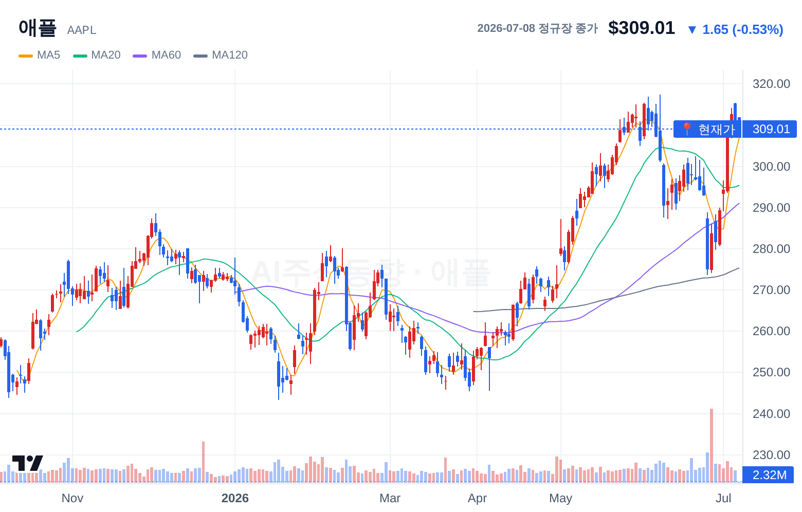 애플 (AAPL) 일봉 차트