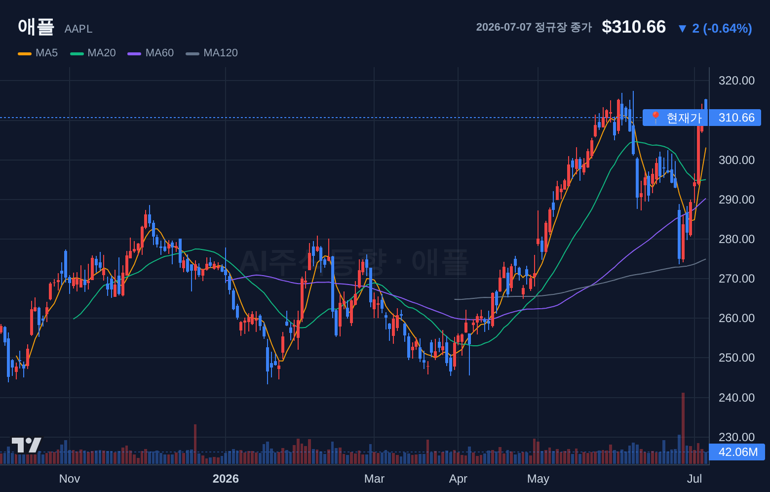 애플 (AAPL) 일봉 차트