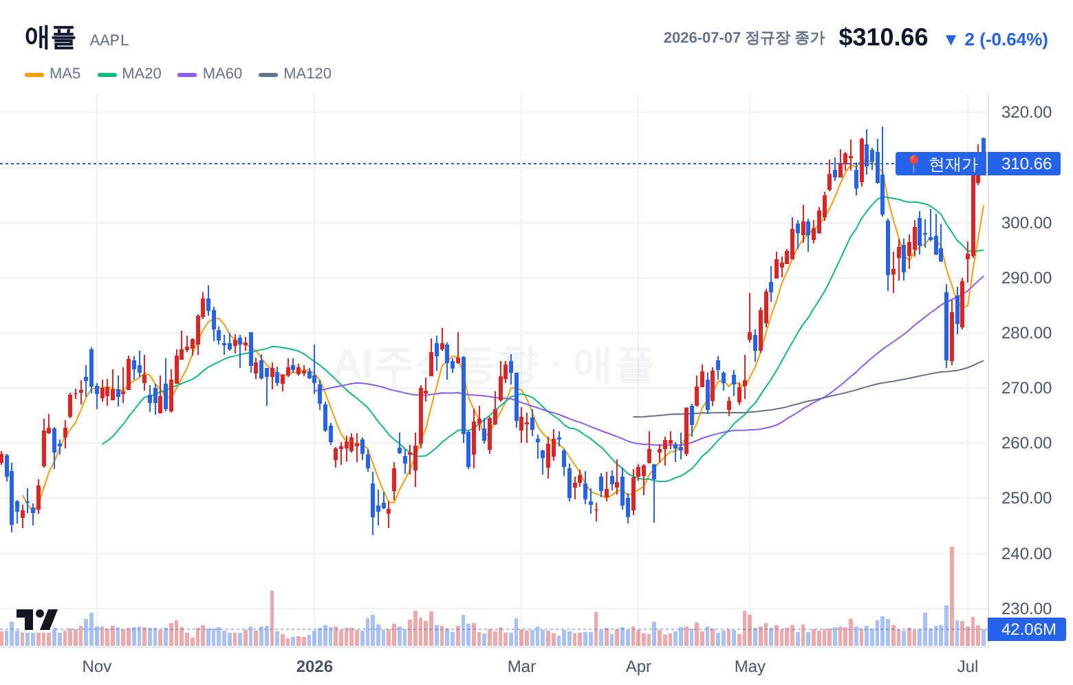애플 (AAPL) 일봉 차트