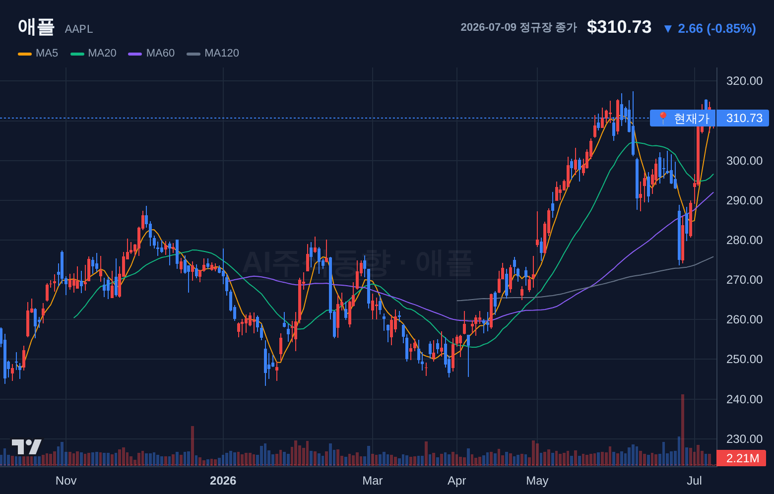 애플 (AAPL) 일봉 차트