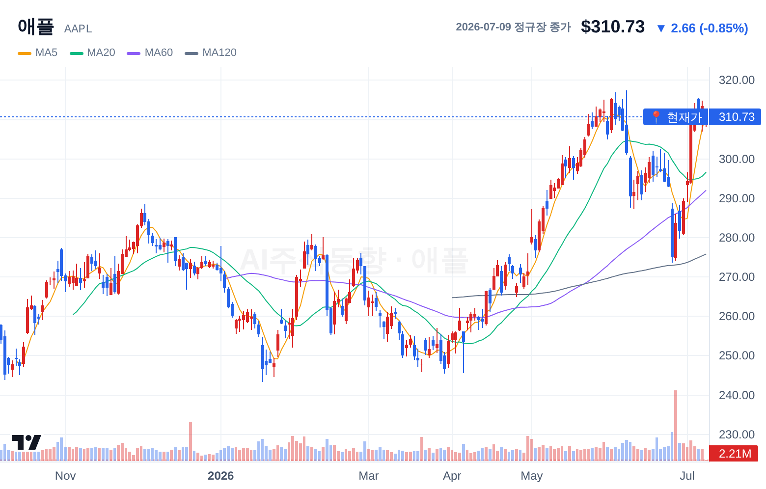 애플 (AAPL) 일봉 차트