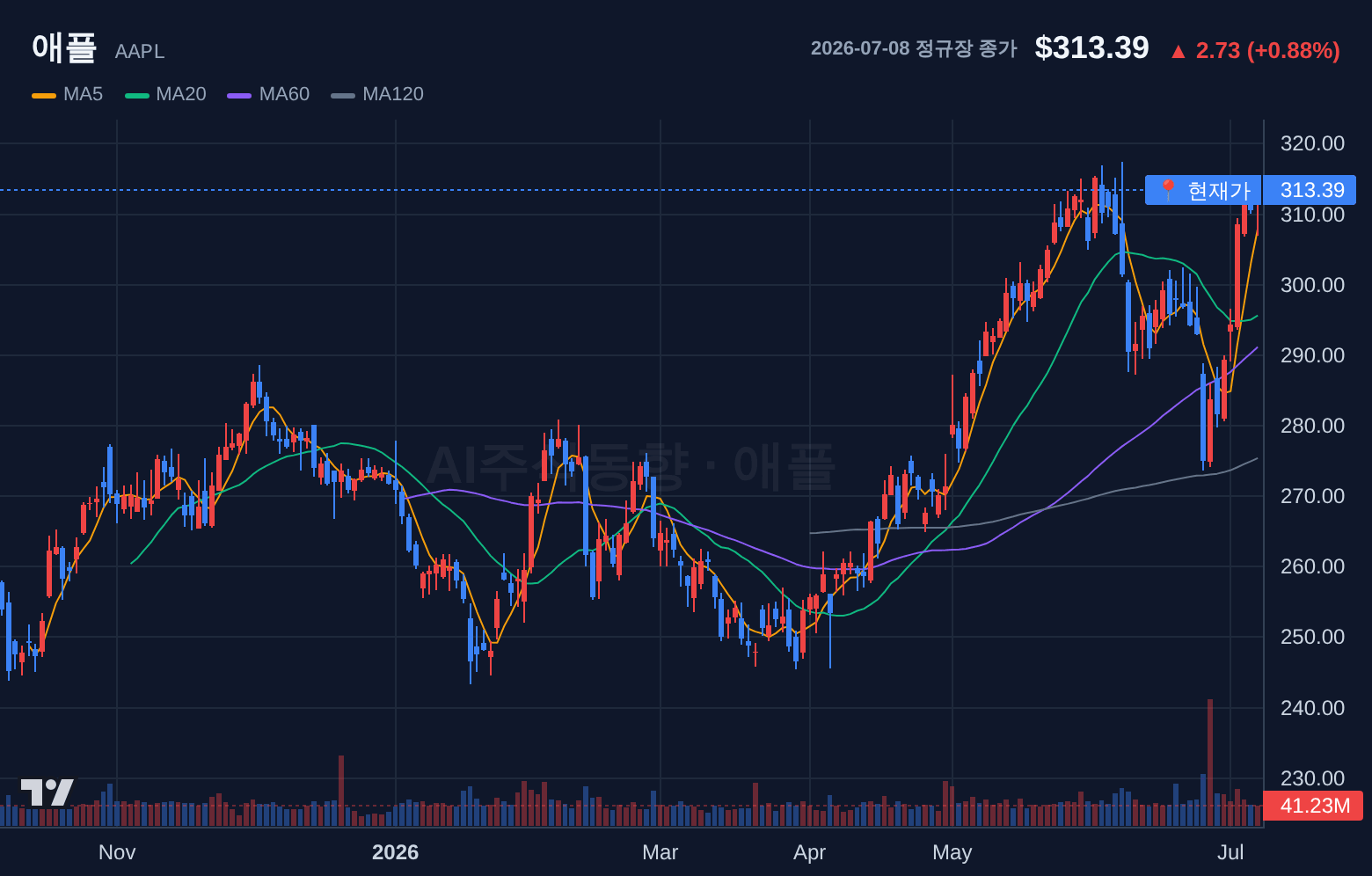 애플 (AAPL) 일봉 차트
