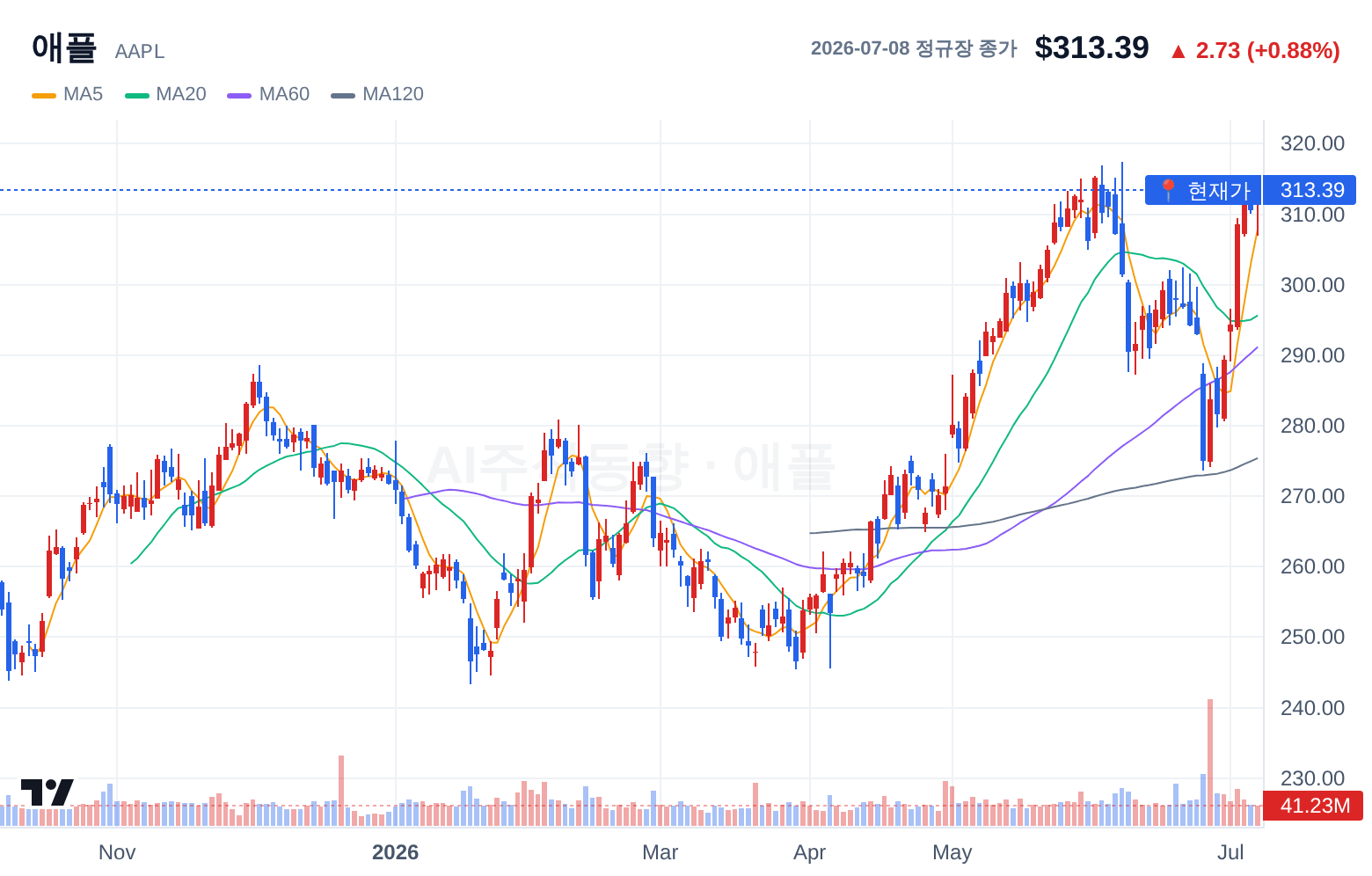 애플 (AAPL) 일봉 차트