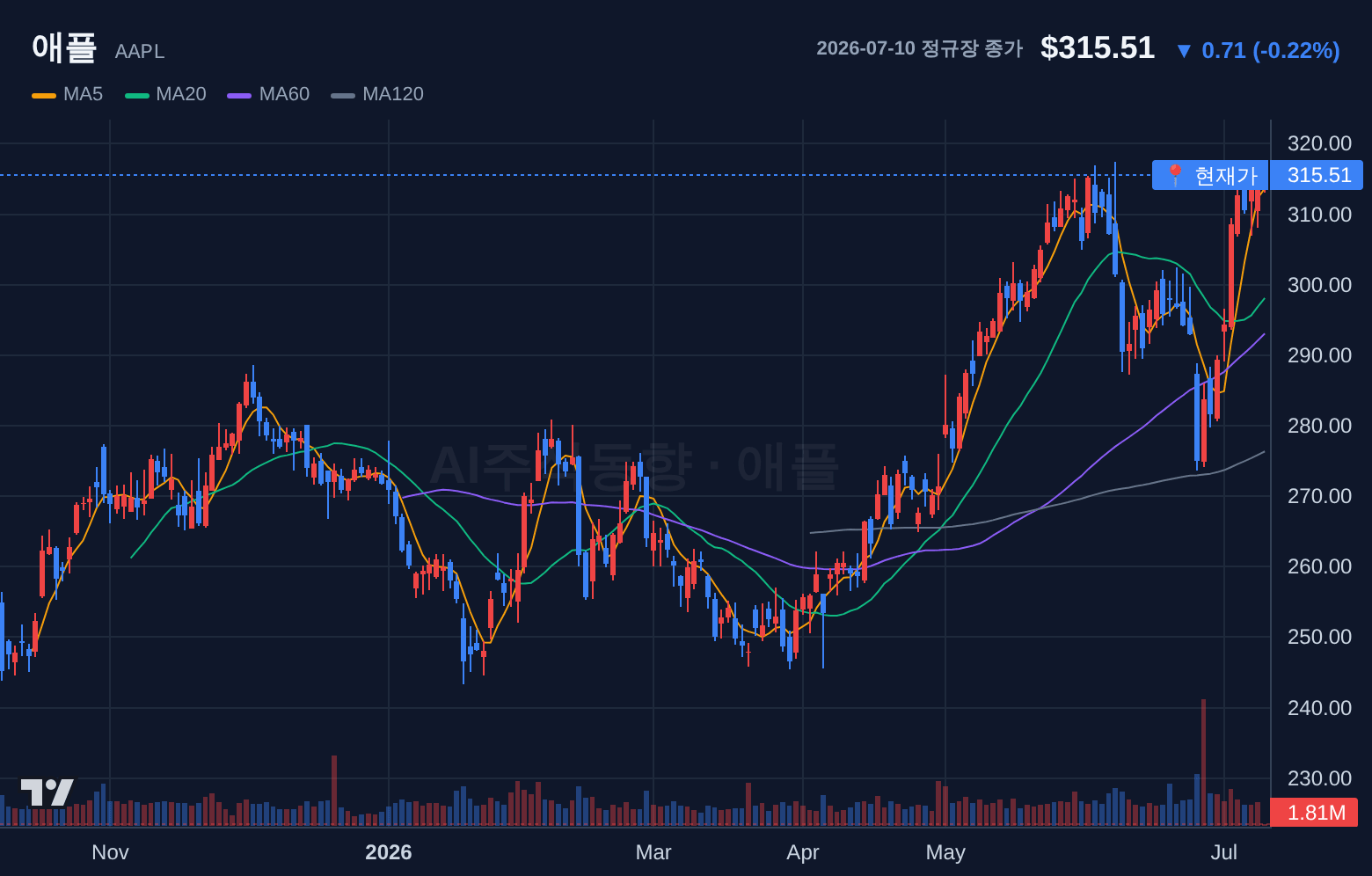 애플 (AAPL) 일봉 차트