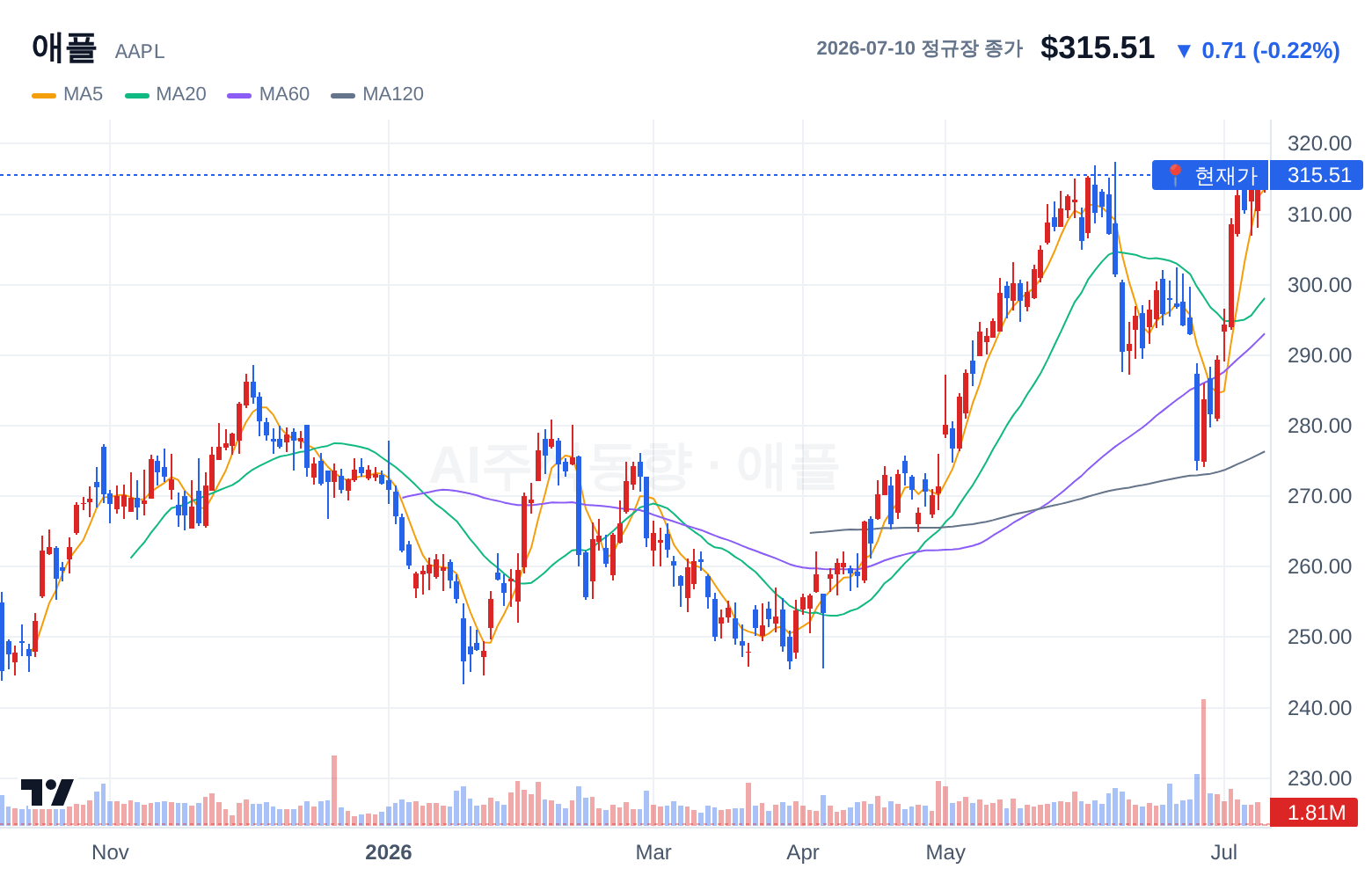 애플 (AAPL) 일봉 차트