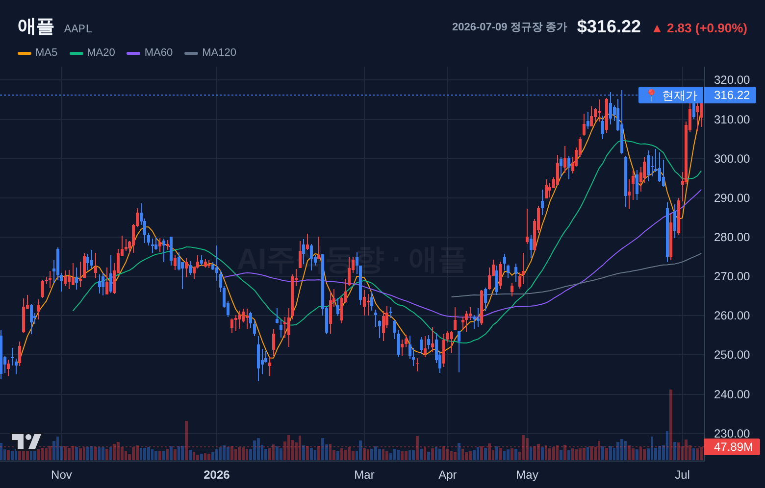 애플 (AAPL) 일봉 차트
