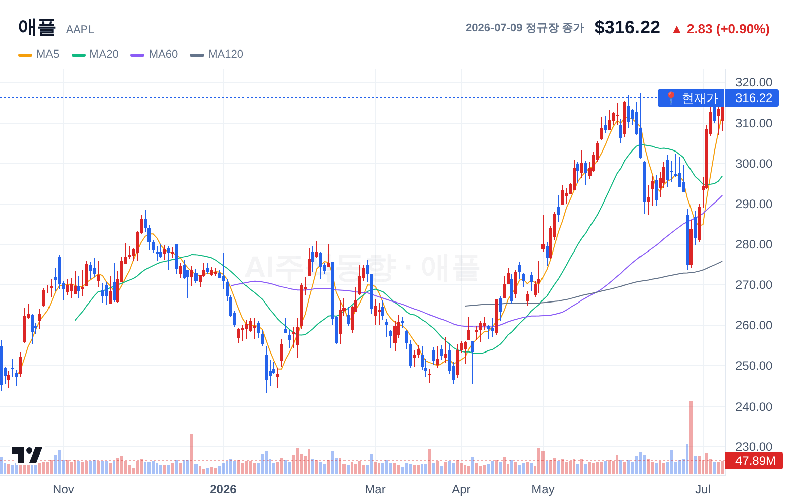 애플 (AAPL) 일봉 차트