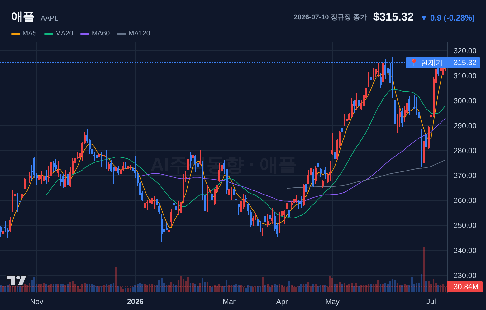 애플 (AAPL) 일봉 차트