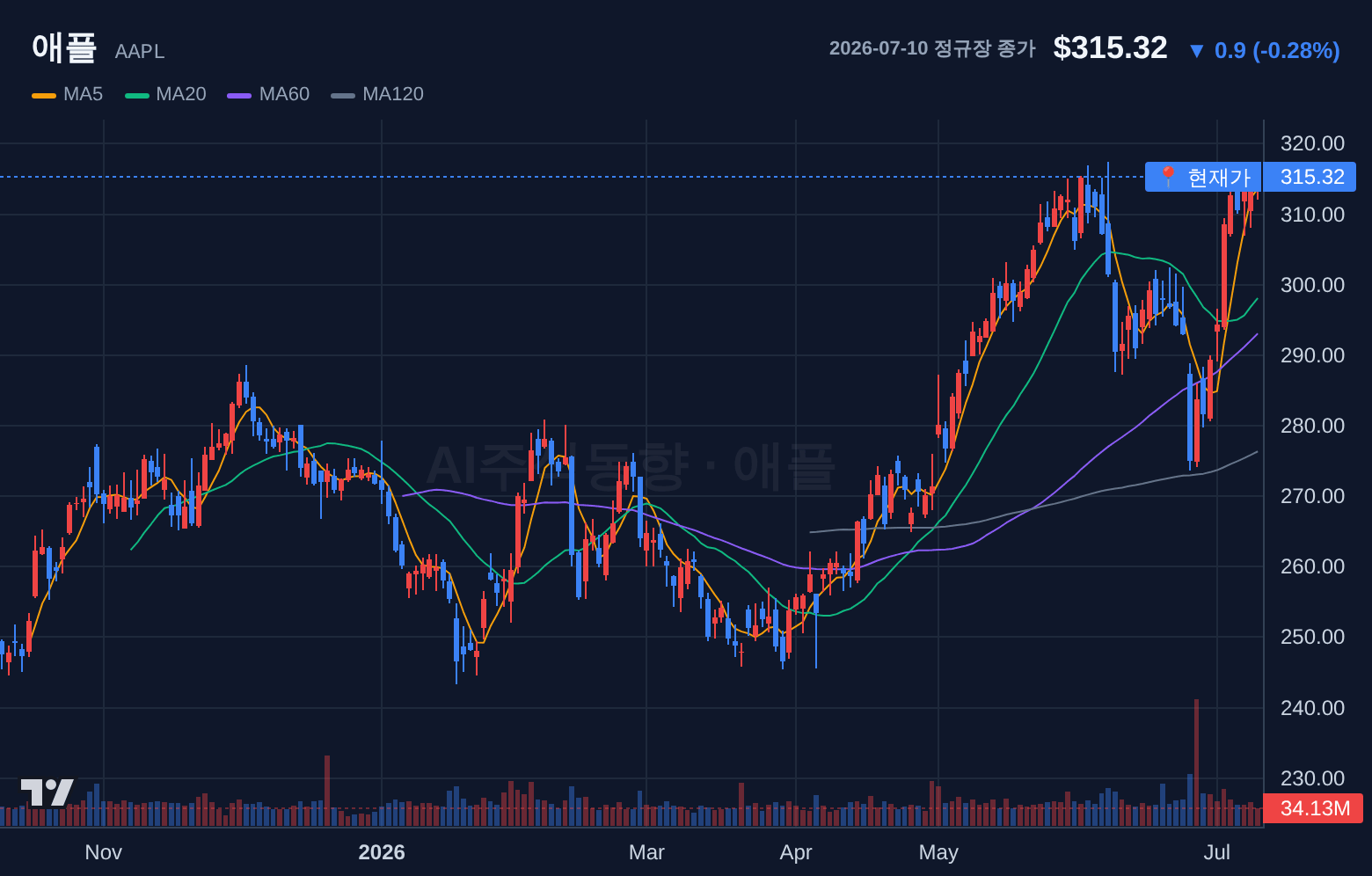 애플 (AAPL) 일봉 차트