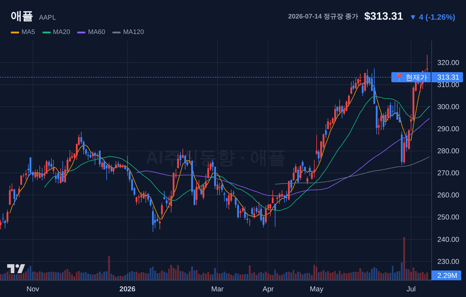 애플 (AAPL) 일봉 차트