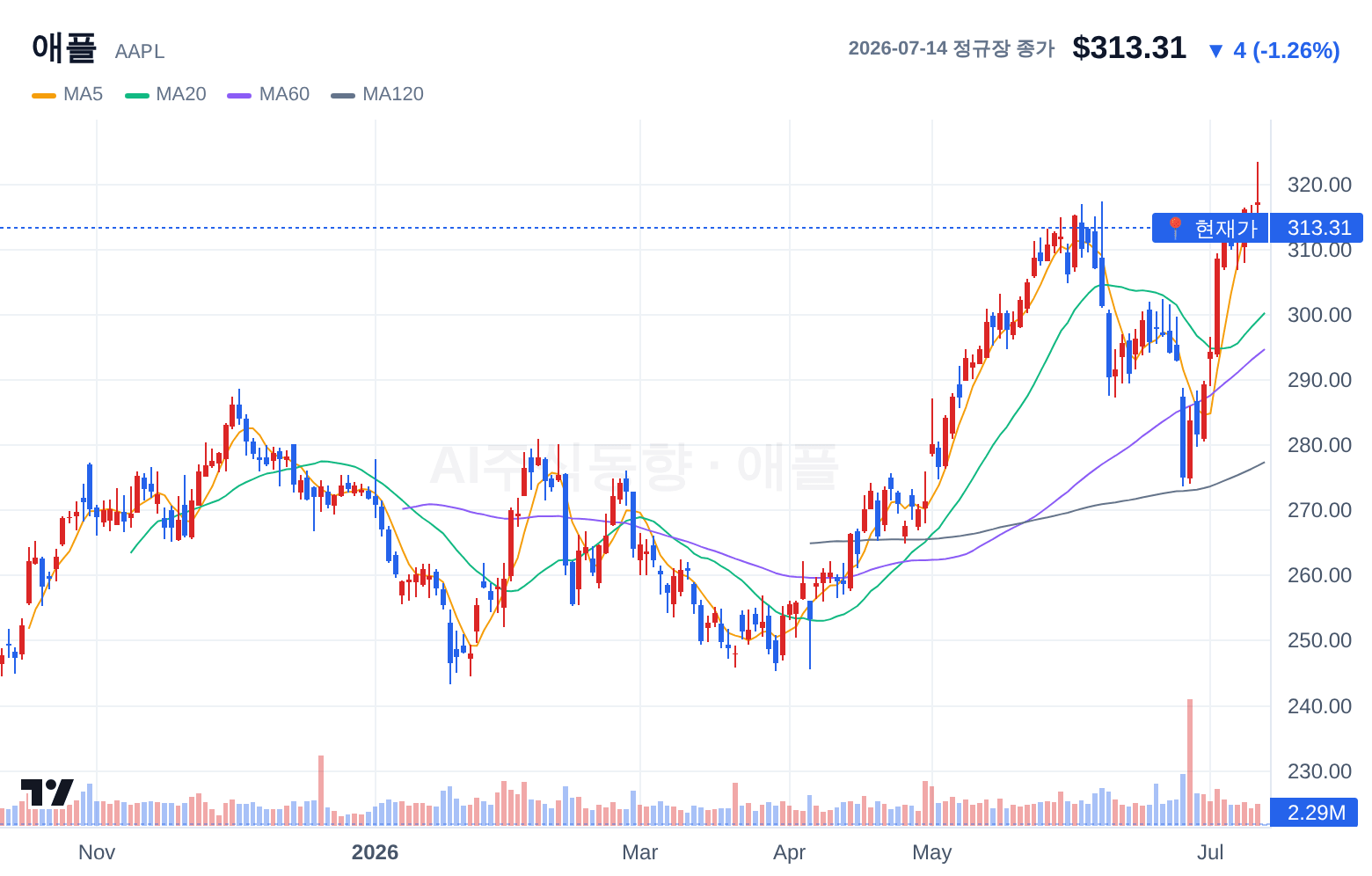 애플 (AAPL) 일봉 차트