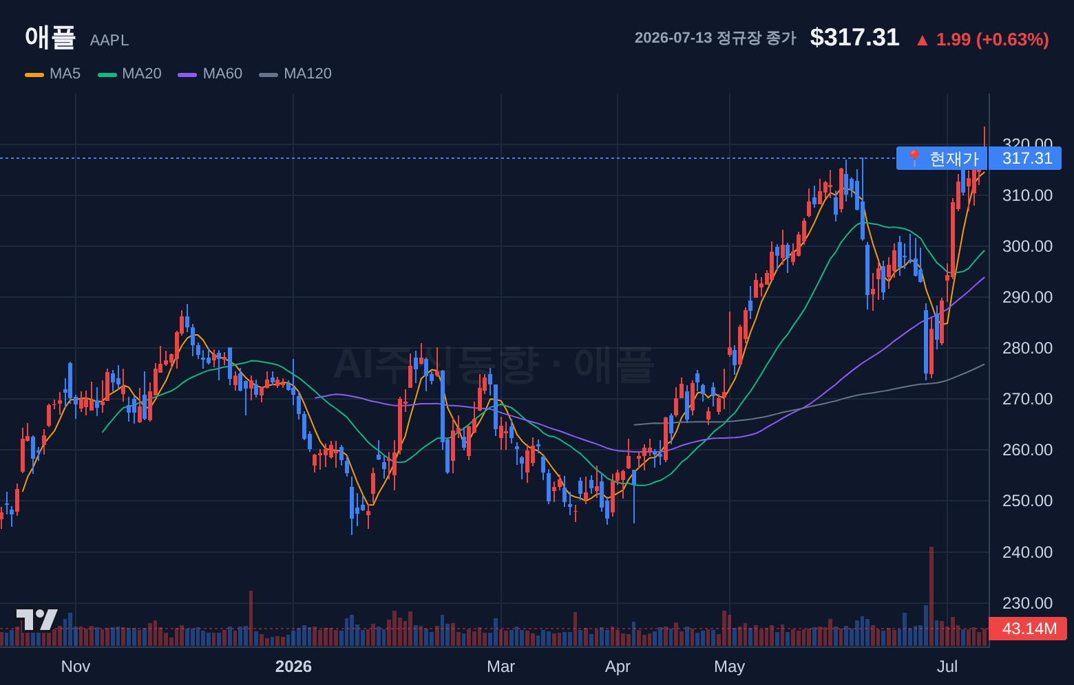 애플 (AAPL) 일봉 차트