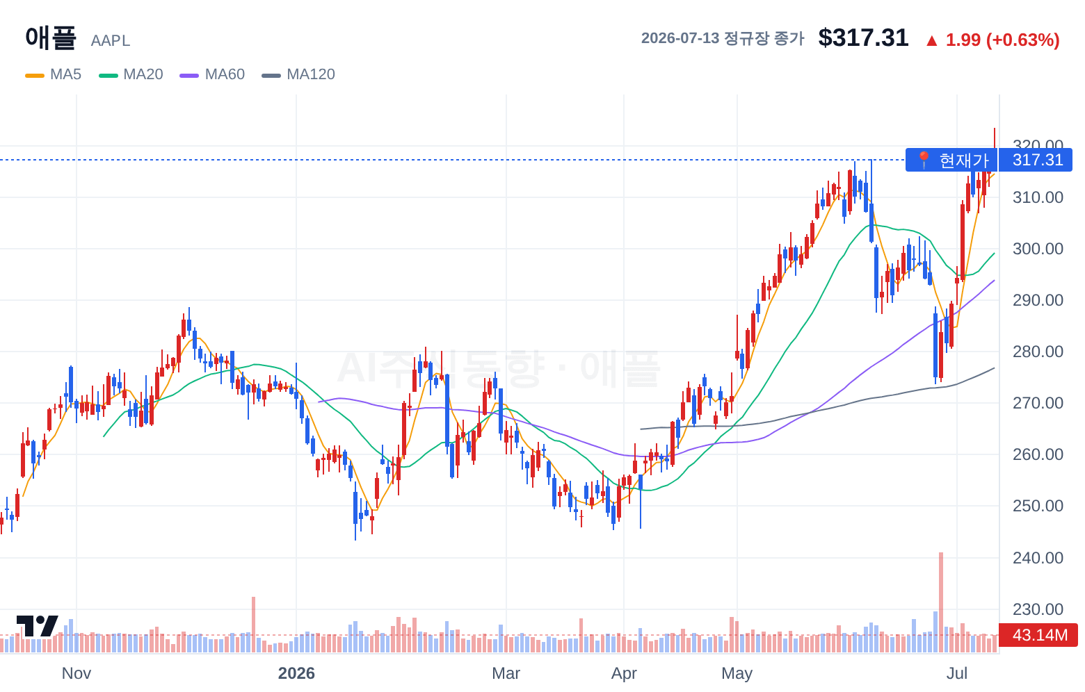 애플 (AAPL) 일봉 차트