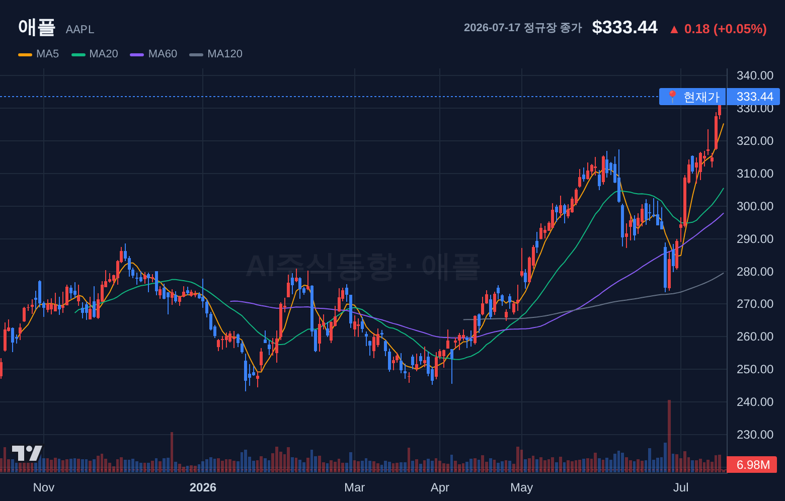 애플 (AAPL) 일봉 차트