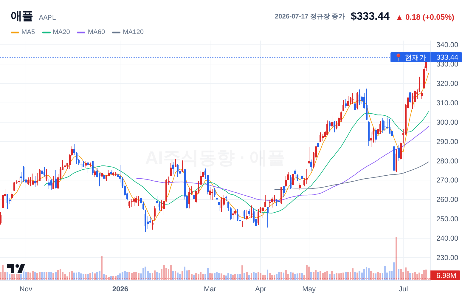 애플 (AAPL) 일봉 차트