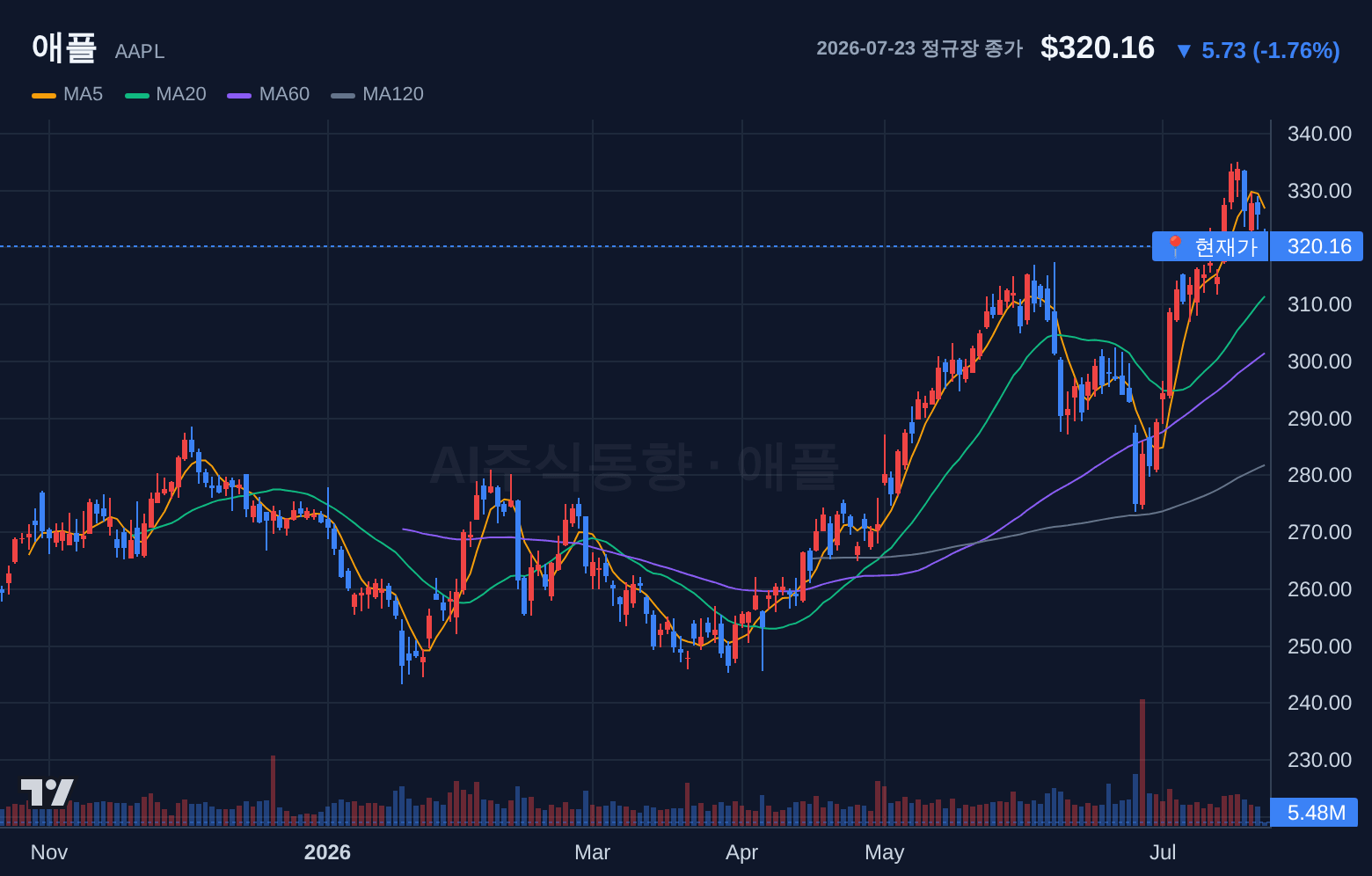 애플 (AAPL) 일봉 차트