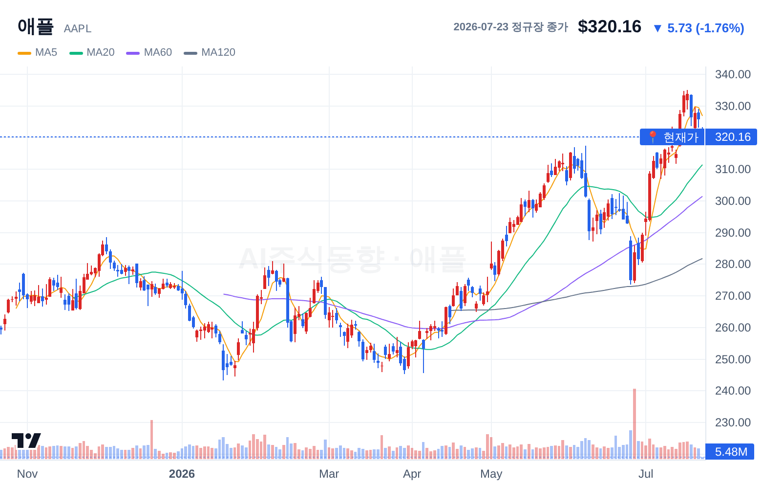 애플 (AAPL) 일봉 차트
