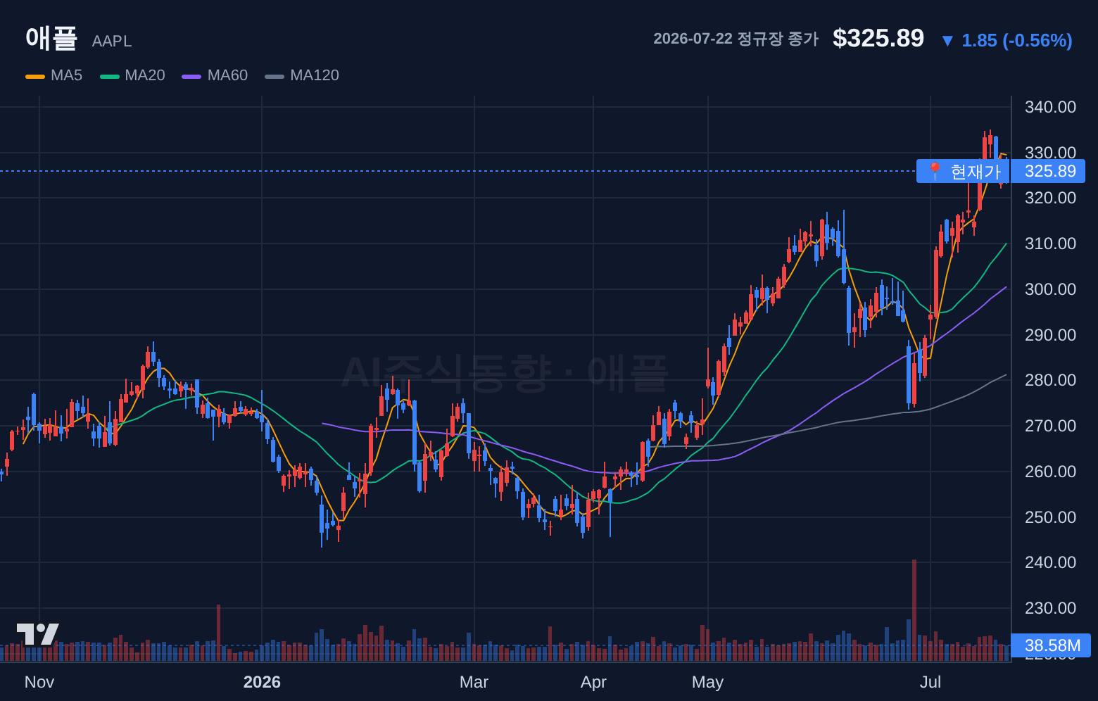 애플 (AAPL) 일봉 차트