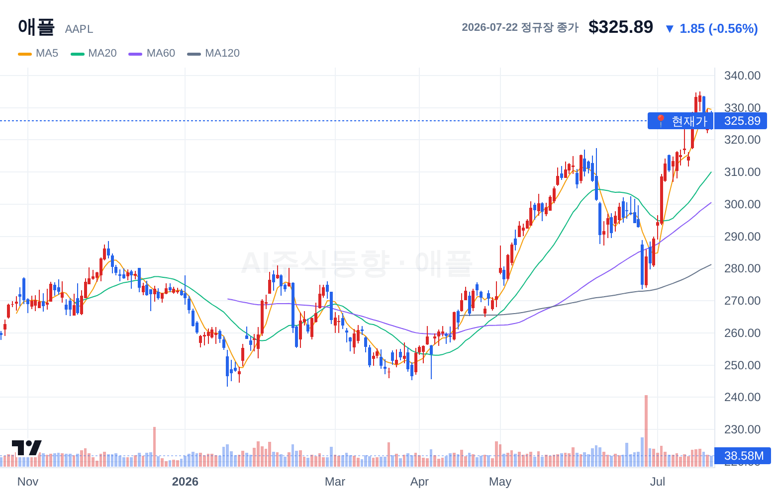애플 (AAPL) 일봉 차트